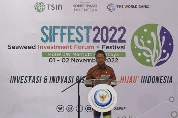 Expect SIFFEST to attract investment in seaweed businesses