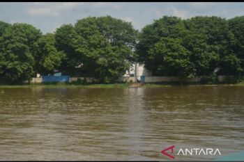 Wagub Sumsel ajak semua pihak amankan pesisir pantai dari tindak kejahatan