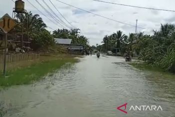 Ratusan rumah warga di Aceh terendam banjir
