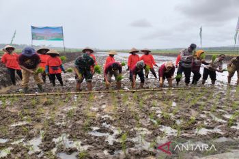 DPKP DIY menjamin stok kebutuhan pokok aman hingga akhir tahun