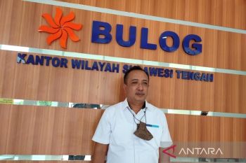 Bulog pastikan cadangan pangan di Sulteng  stabil hingga 2023