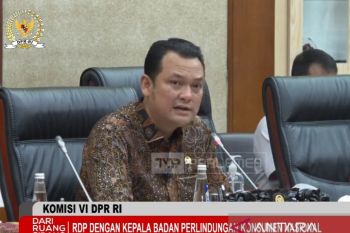 DPR minta BPKN berperan maksimal kasus obat sirop