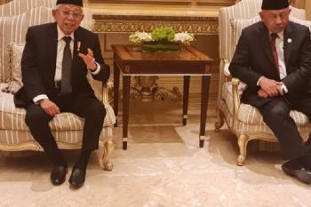 Wapres Ma'ruf Amin harap ratifikasi Indonesia dan UAE CEPA segera tuntas