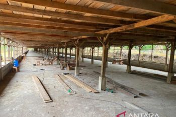 Dukung sektor bisnis peternakan, PLN suplai listrik untuk Archividea Farm Sijunjung