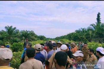 Aneh, 5.532 ha lahan PT DSI yang di-TORA-kan Pemkab Siak belum diketahui lokasinya