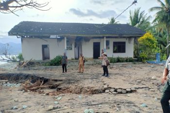 BPBD Ende lakukan penanganan bencana gelombang pasang