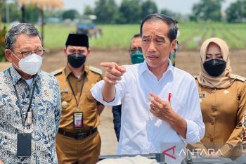 Jokowi: Pemerintah siapkan 700 ribu hektare lahan dukung swasembada gula