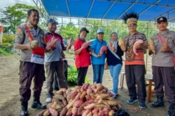 Pemkab Jayapura apresiasi kelompok tani Noken binaan Polsek Unurum Guay