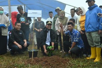 Pemprov Sulsel bantu bibit guna mendorong produksi kopi Gowa