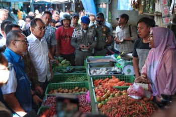 Mendag : Harga pangan di Makassar stabil