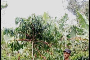 BPS sebut ekonomi Lampung tumbuh 0,84 persen