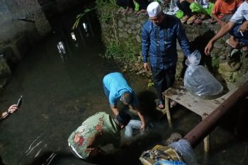 Realisasi produksi ikan di Pasbar hingga Oktober 84.214 ton