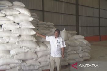 Bulog: Stok beras Kapuas-Pulpis dipastikan aman