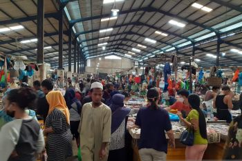 Pengamat ingatkan pemda perkuat ketahanan pangan guna antisipasi resesi