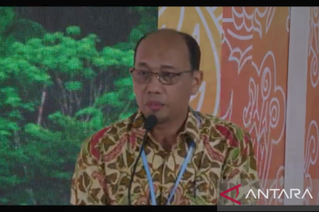Tanaman endemik dan spesies asli ditanam di area IKN