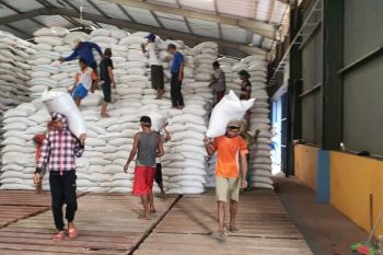 Bulog NTB kirimkan 50.625 ton beras ke enam provinsi untuk pemerataan