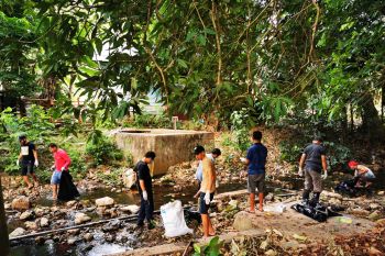 Bupati Mabar imbau warga antisipasi DBD saat musim hujan