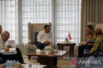 KSP: Sorgum bisa jadi solusi kemiskinan ekstrem dan "stunting"