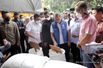 Mendag tegaskan stok beras tersedia dengan harga terjangkau