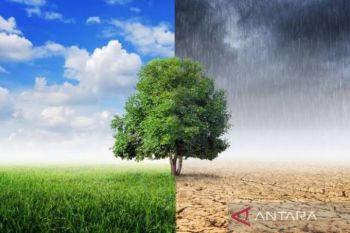 Peralihan musim jadi penyebab udara terasa gerah di NTB