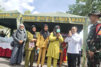 Satgas TMMD selesai bangun jembatan kayu 372 meter di Petuk Katimpun