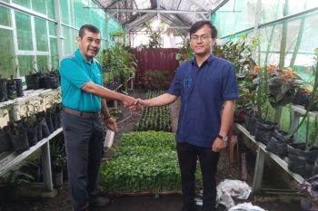 PT AMP Plantation serahkan bantuan bibit cabai ke DPKP Agam kendalikan inflansi