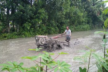Distan Lombok Tengah: distributor menyalurkan pupuk subsidi untuk petani