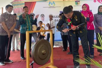 Pemkot Palu  komitmen penuhi hak-hak perempuan dan anak