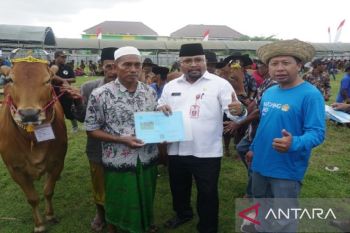 Pemkab Pamekasan dorong pemulihan ekonomi peternak melalui kontes sapi-kambing