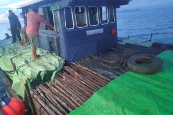 Bea Cukai Batam gagalkan pengiriman ribuan batang kayu teki ke Singapura