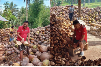 Gubernur Olly ajak masyarakat Sulut mari berkebun