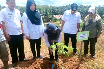 Kementan bantu 4.000 bibit lengkeng untuk poktan binaan BGA