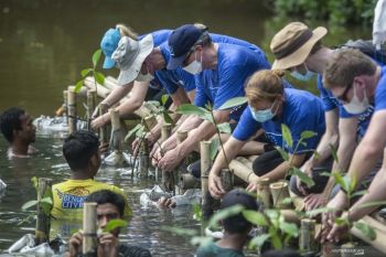 Uni Eropa sepakati UU penghilangan CO2 dengan perluasan hutan