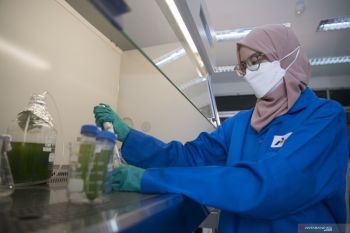 Pengamat: Pertamina miliki peran besar dalam proses transisi energi