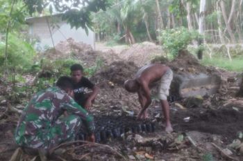 Koramil 1708-02/BU beri pendampingan tanam cabai di pekarangan rumah