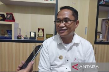 Pemkab Sigi  butuh keterlibatan investor guna kembangkan tanaman kakao