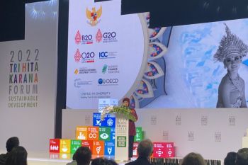 Bappenas encourages investors to use blended finance to achieve SDGs