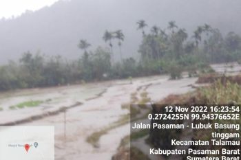 8,6 hektare lahan sawah di Tinggam Talamau Pasbar terdampak banjir