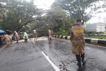 33 rumah di Lombok Barat rusak akibat cuaca ekstrem