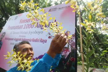 Konservasi penanaman seribu Anggrek