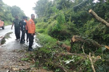 BPBD: Warga Muba diminta mewaspadai cuaca ekstrem