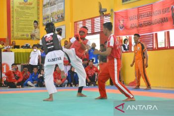 Porprov Riau, tarung derajat Kampar bawa satu emas dan empat perunggu