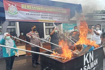 Kejari Pasbar musnahkan barang bukti puluhan kilogram narkotika (Video)