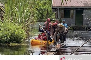 Banjir di Siak memaksa 50 keluarga mengungsi