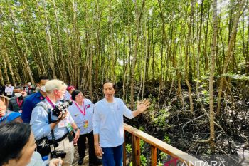 President introduces journalists to mangrove varieties at Bali Forest