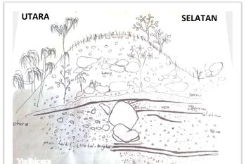 Peneliti PVMBG mengungkap sejarah tsunami di Pulau Ternate