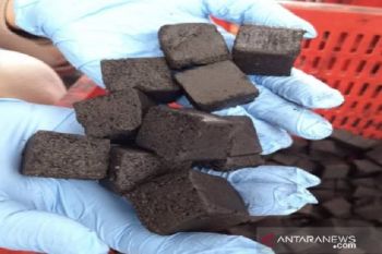 Bengkel Kerja Disperindag Biak Numfor produksi briket arang kelapa