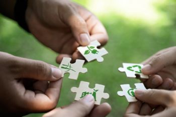 China makes great contribution to global green shift: official