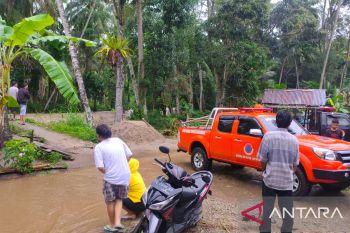 Seorang warga Solok Sumatera Barat dipatuk ular saat banjir