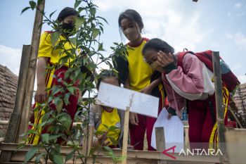 Pengenalan Apotik Hidup pada Pelajar